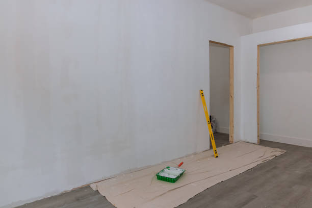 Best Drywall Sanding and Smoothing  in Hudson Lake, IN